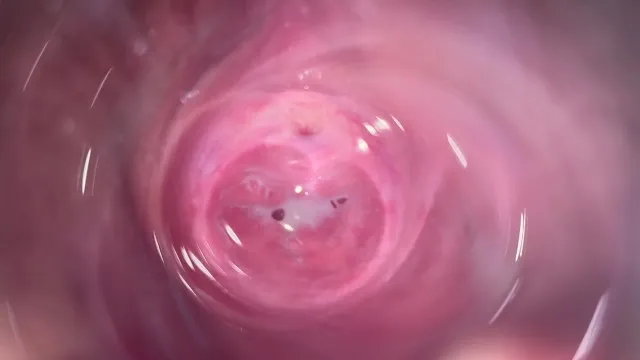 Internal view: horny vagina camera inside tight creamy pussy
